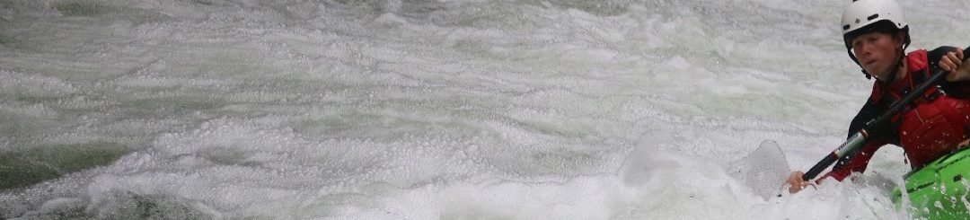 Banner-ppnz 02-n