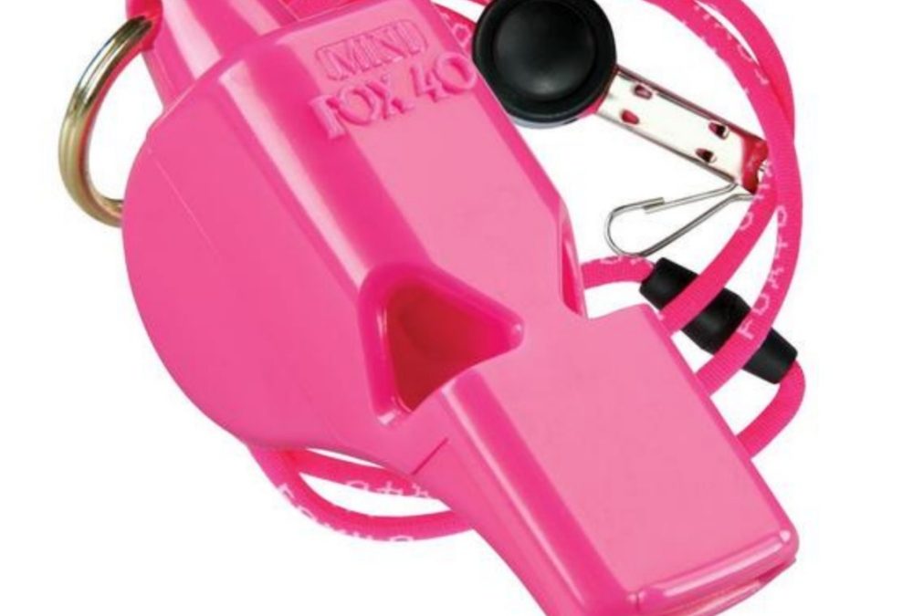 Fox 40 Mini Pink Lanyard 1000