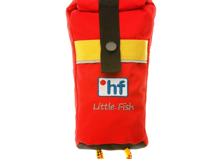 Little-Fish-1